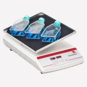 Rocking & Waving Shakers main